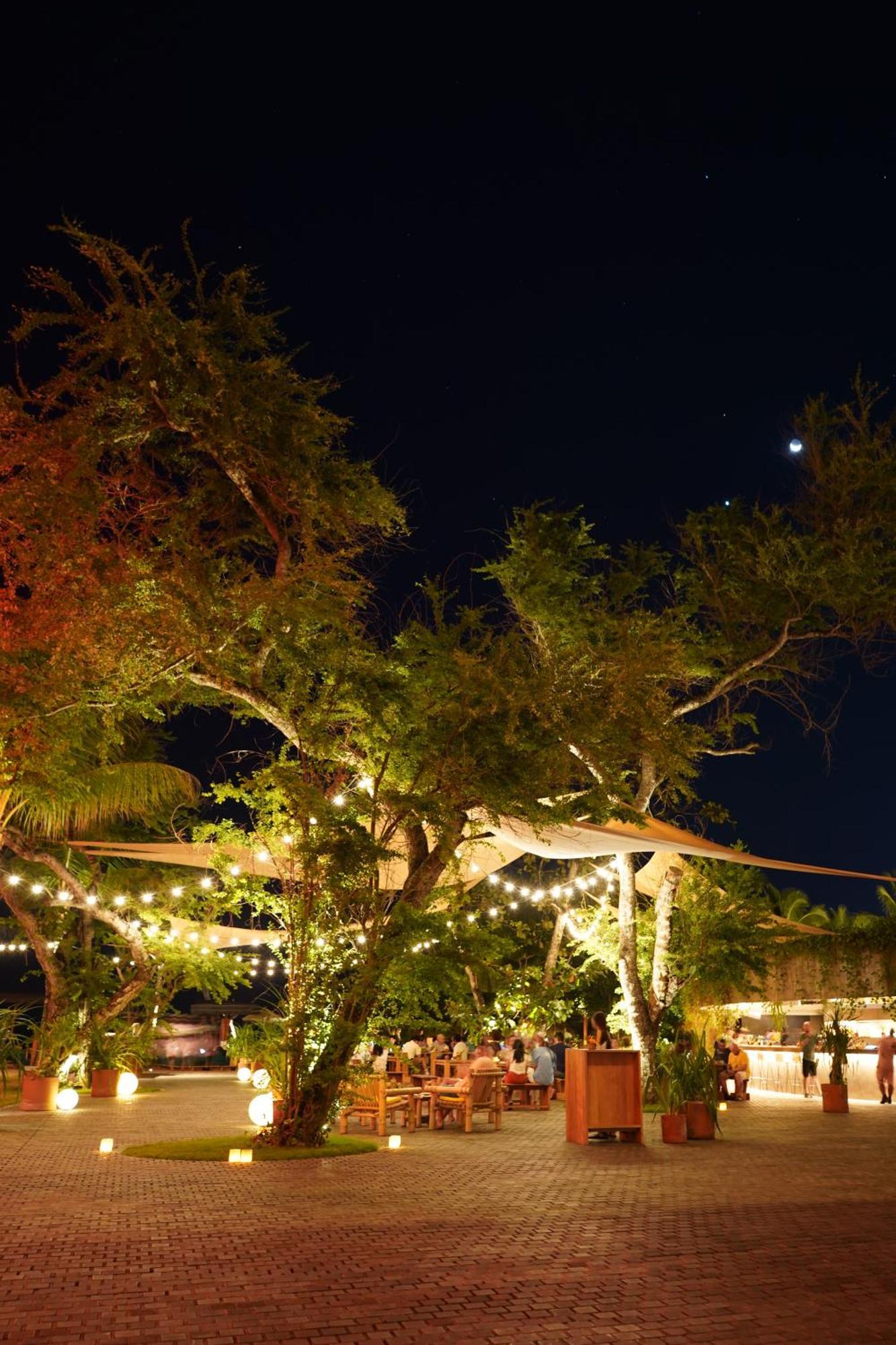 Potato Head Suites & Studios Семиньяк Экстерьер фото The Tree of Life at night